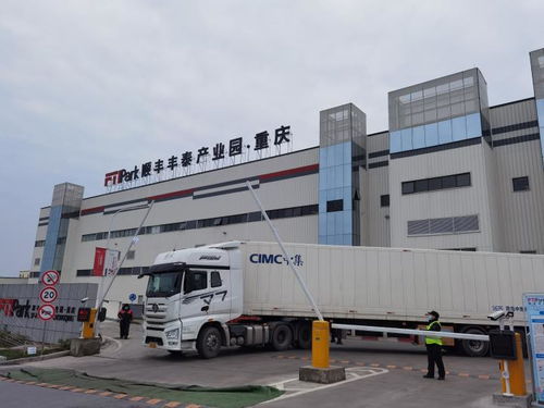 巴南嚴(yán)把倉儲物流源頭關(guān) 筑牢進口冷鏈?zhǔn)称窓z測防線