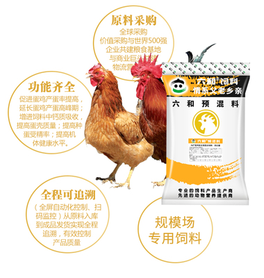 新希望六和5%蛋雞高峰期飼料 助力高產(chǎn)穩(wěn)產(chǎn)的精準(zhǔn)營(yíng)養(yǎng)方案